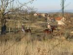 Le centre equestre